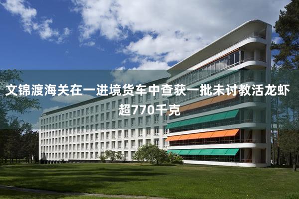 文锦渡海关在一进境货车中查获一批未讨教活龙虾 超770千克