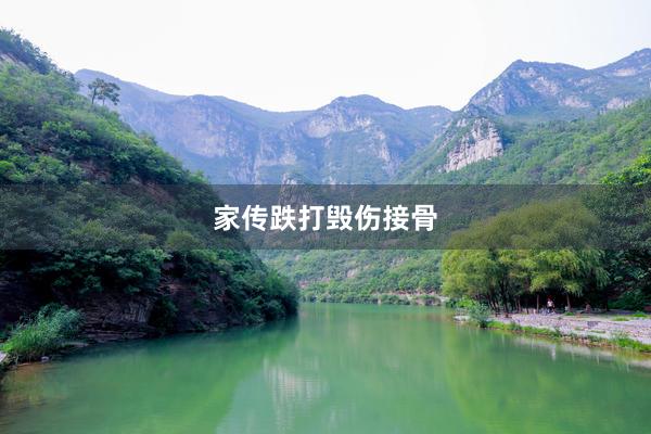 家传跌打毁伤接骨